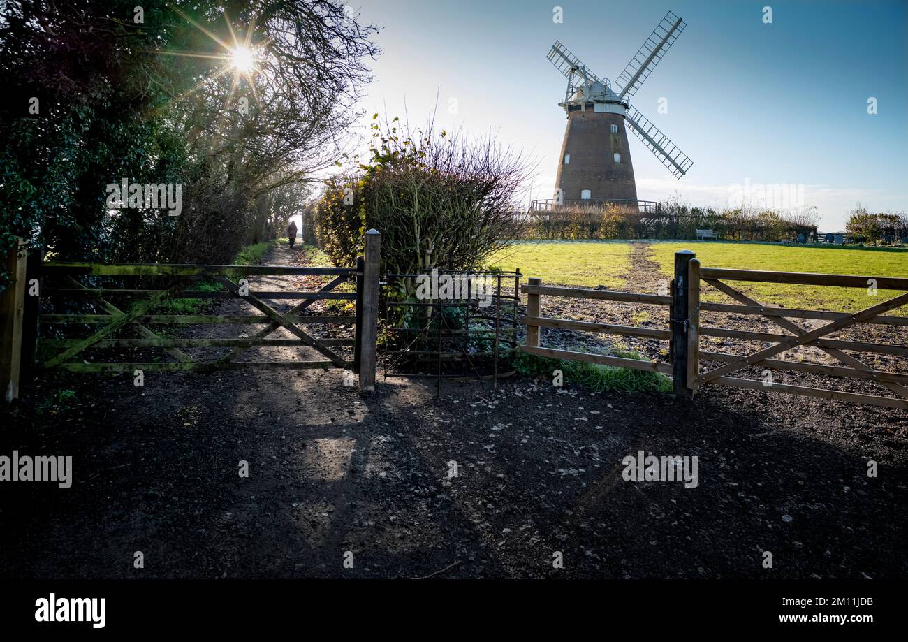 Thaxted Essex UK Winter Walk Passing John Webbs Windmill 9 Dicembre 2022 Foto Stock