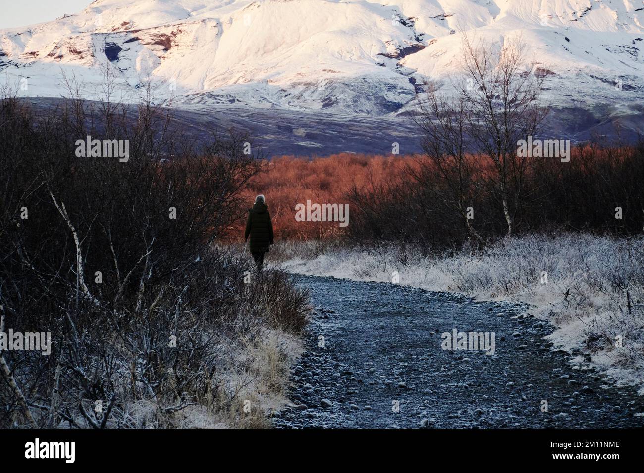 Brekkuskógur, paesaggi e primi piani al gelo Foto Stock