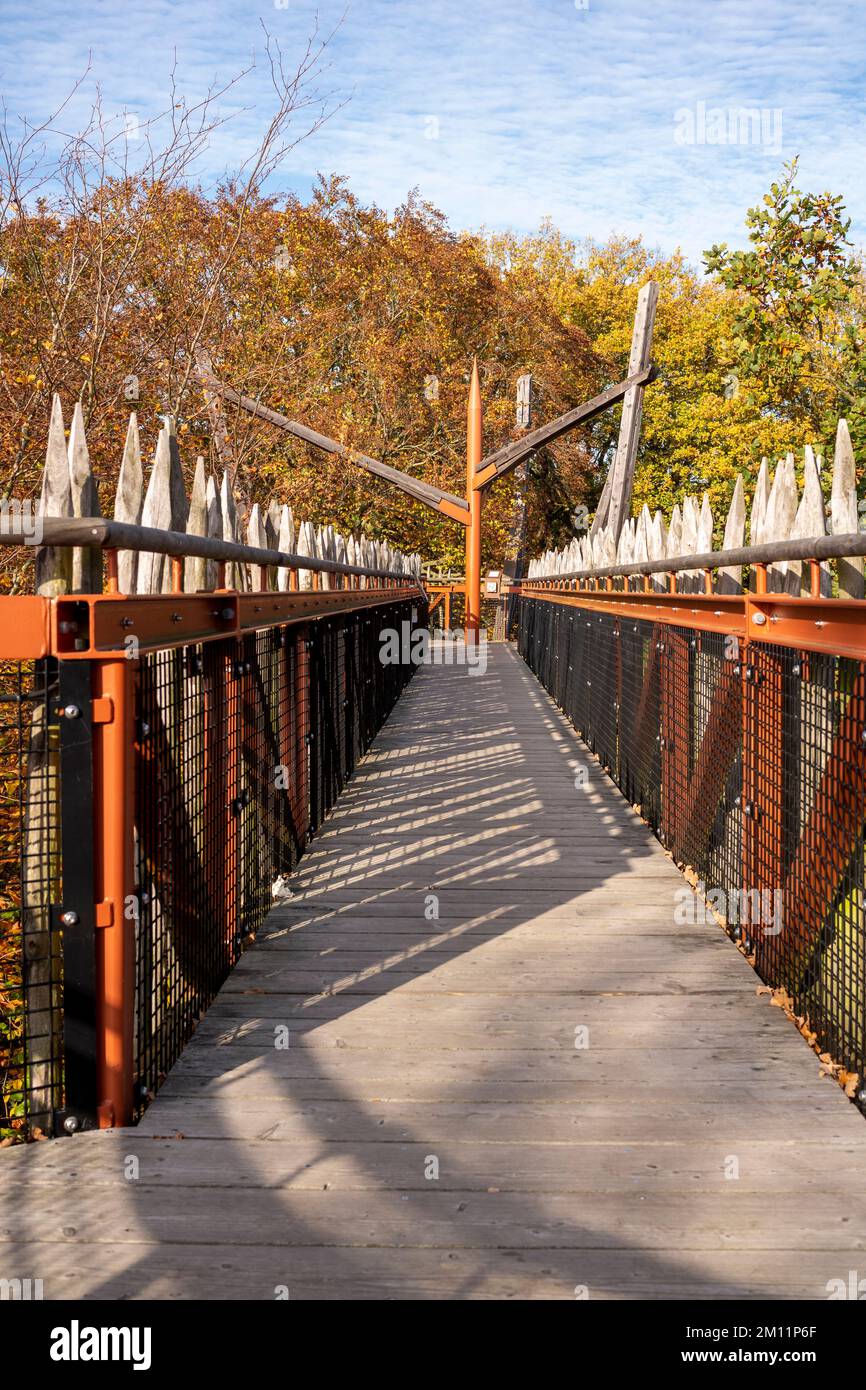 Querce Ivenacker, percorso di fagioli durante il giorno in autunno. Foto Stock