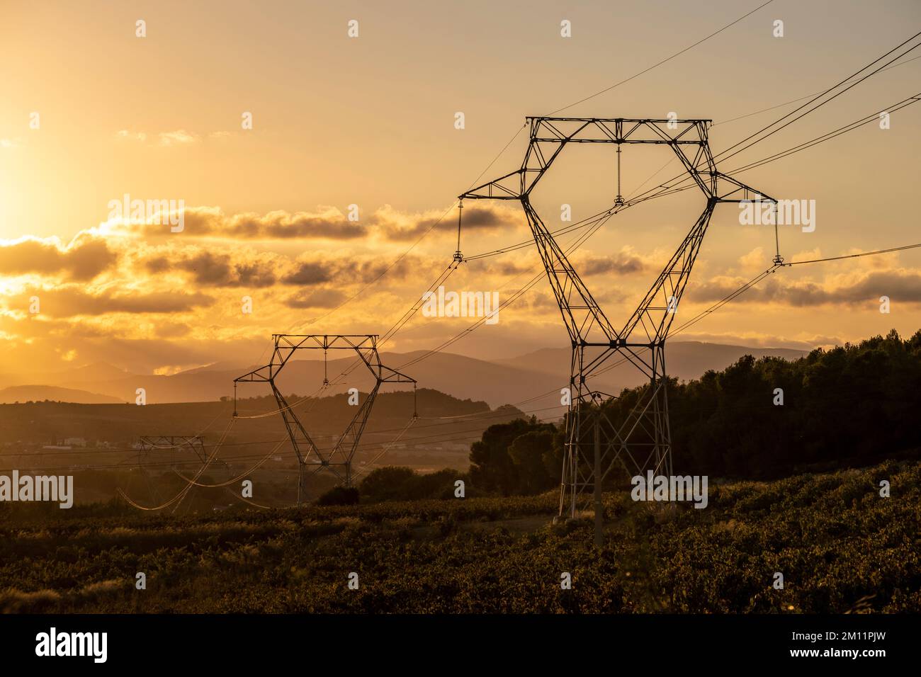 Cavi ad alta tensione con il cielo al tramonto sullo sfondo Foto Stock