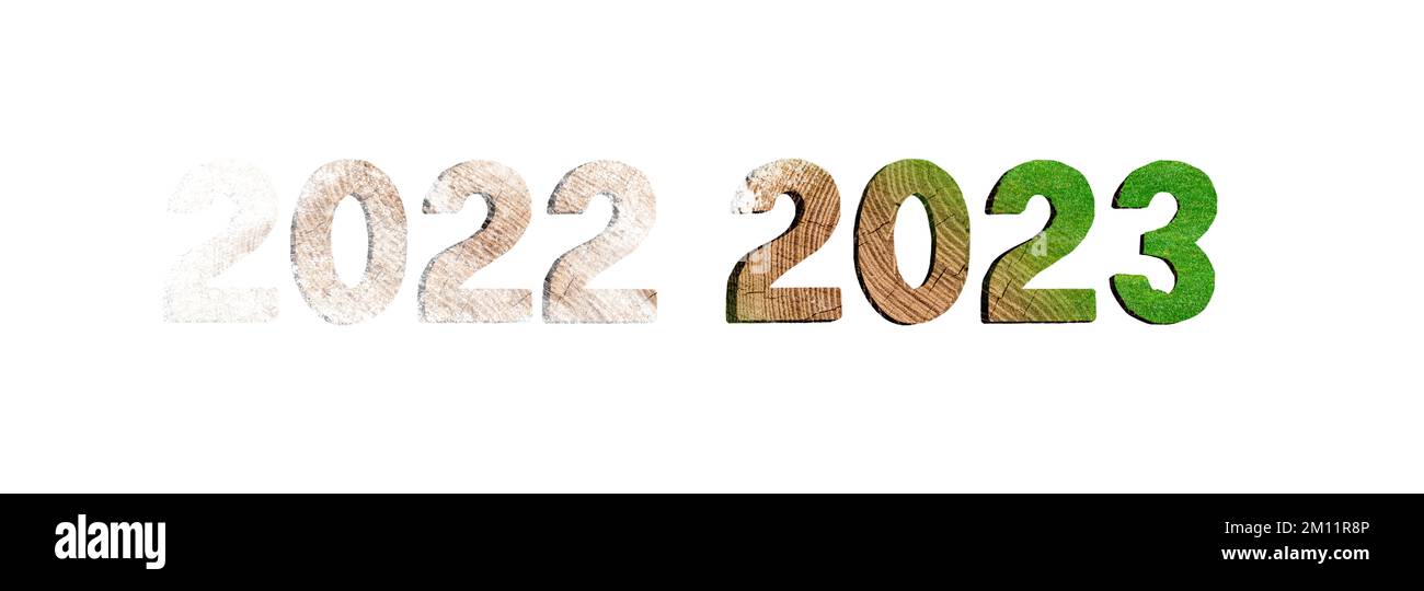 Anno 2022 2023 in legno Foto Stock