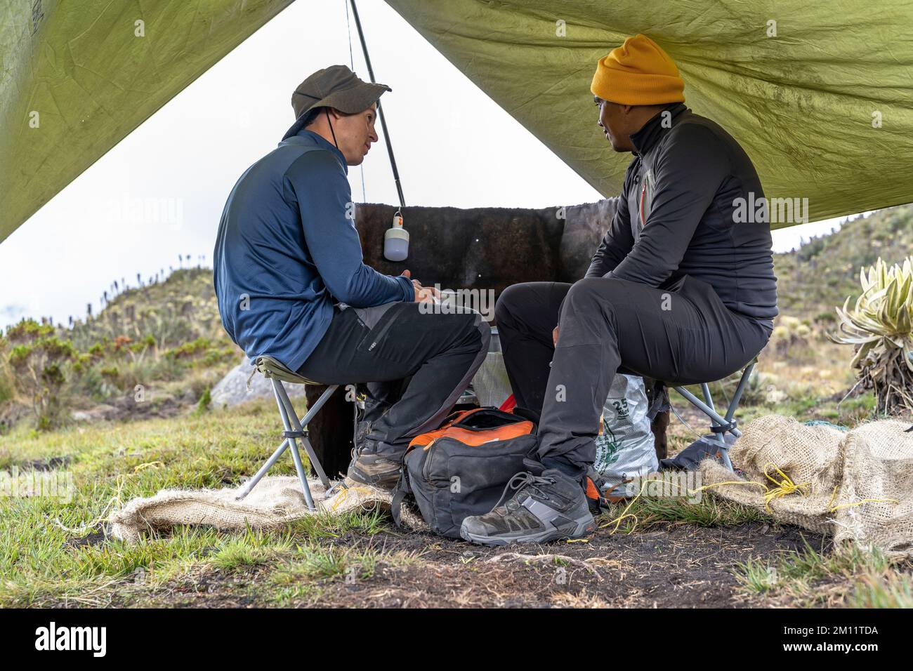 Sud America, Colombia, Dipartimento di Antioquia, Ande colombiane, Urrao, Escursionisti in tenda da cucina nel campo a ramo del Sol Foto Stock