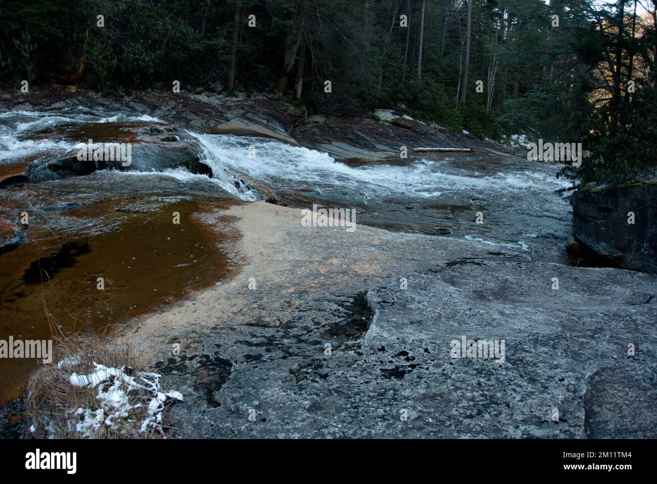 Red Creek all'inizio dell'inverno, Dolly Sods Wilderness, West Virginia Foto Stock