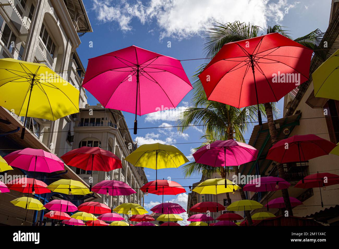 Ombrelli rivestimento Caudan Waterfront - sviluppo commerciale a Port Louis, Isola Mauritius, Africa Foto Stock