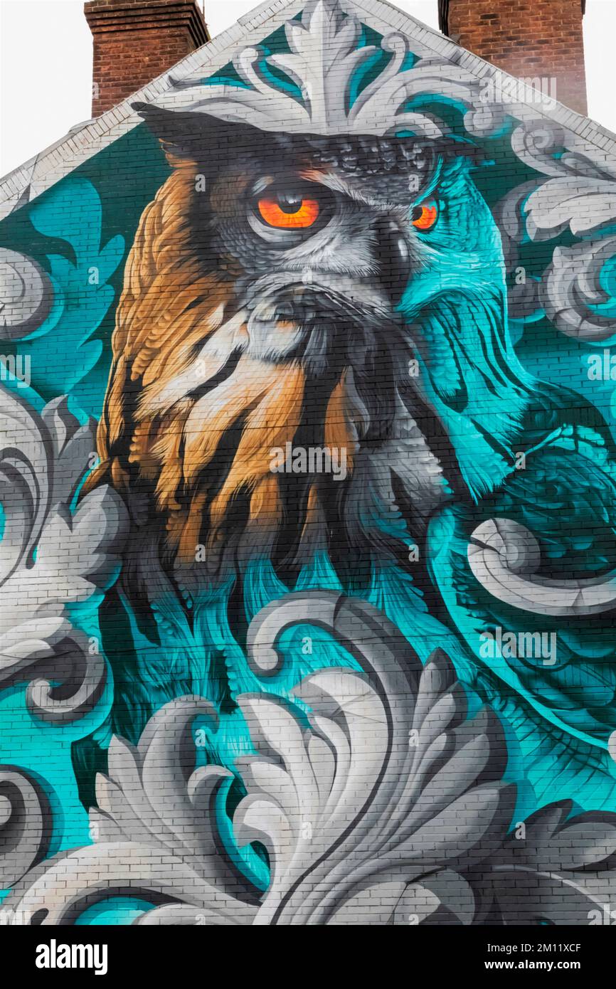 Inghilterra, Dorset, Bournemouth, Boscombe, Street Art intitolata 'Owl' dall'artista Tech Moon Foto Stock