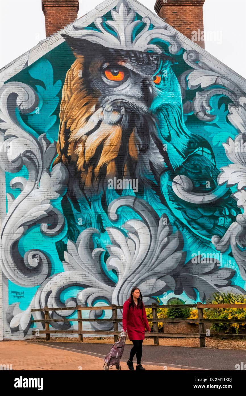Inghilterra, Dorset, Bournemouth, Boscombe, Street Art intitolata 'Owl' dall'artista Tech Moon Foto Stock