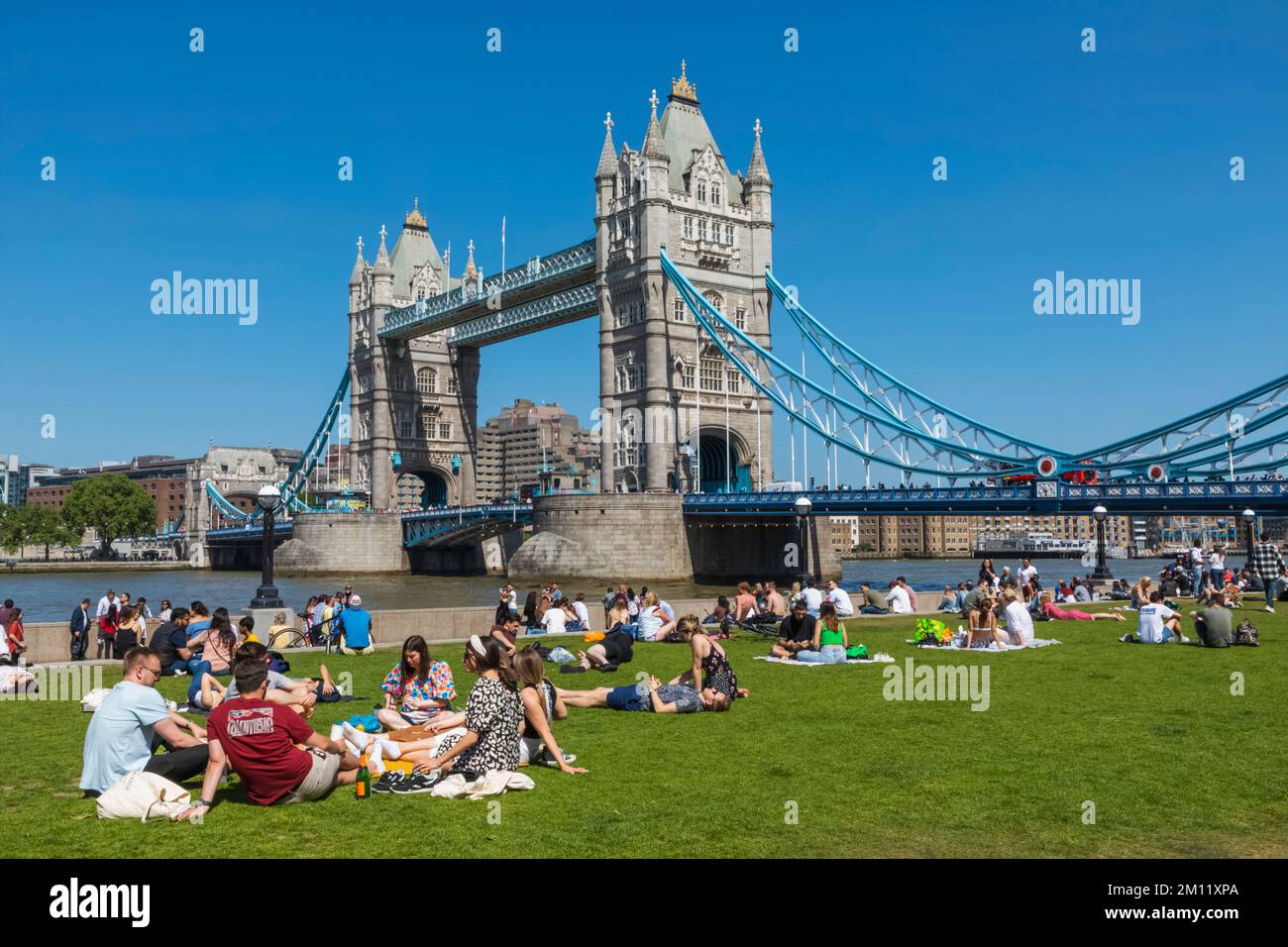 Tower Bridge con persone che si rilassano a Grass a Foreground, Londra, Inghilterra Foto Stock