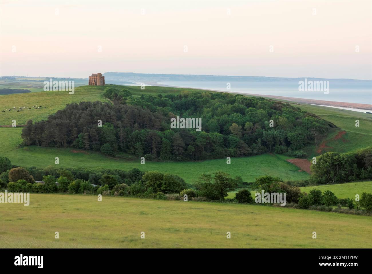 Inghilterra, Dorset, Abbotsbury, St.Catherine's Chapel e Green Fields Foto Stock