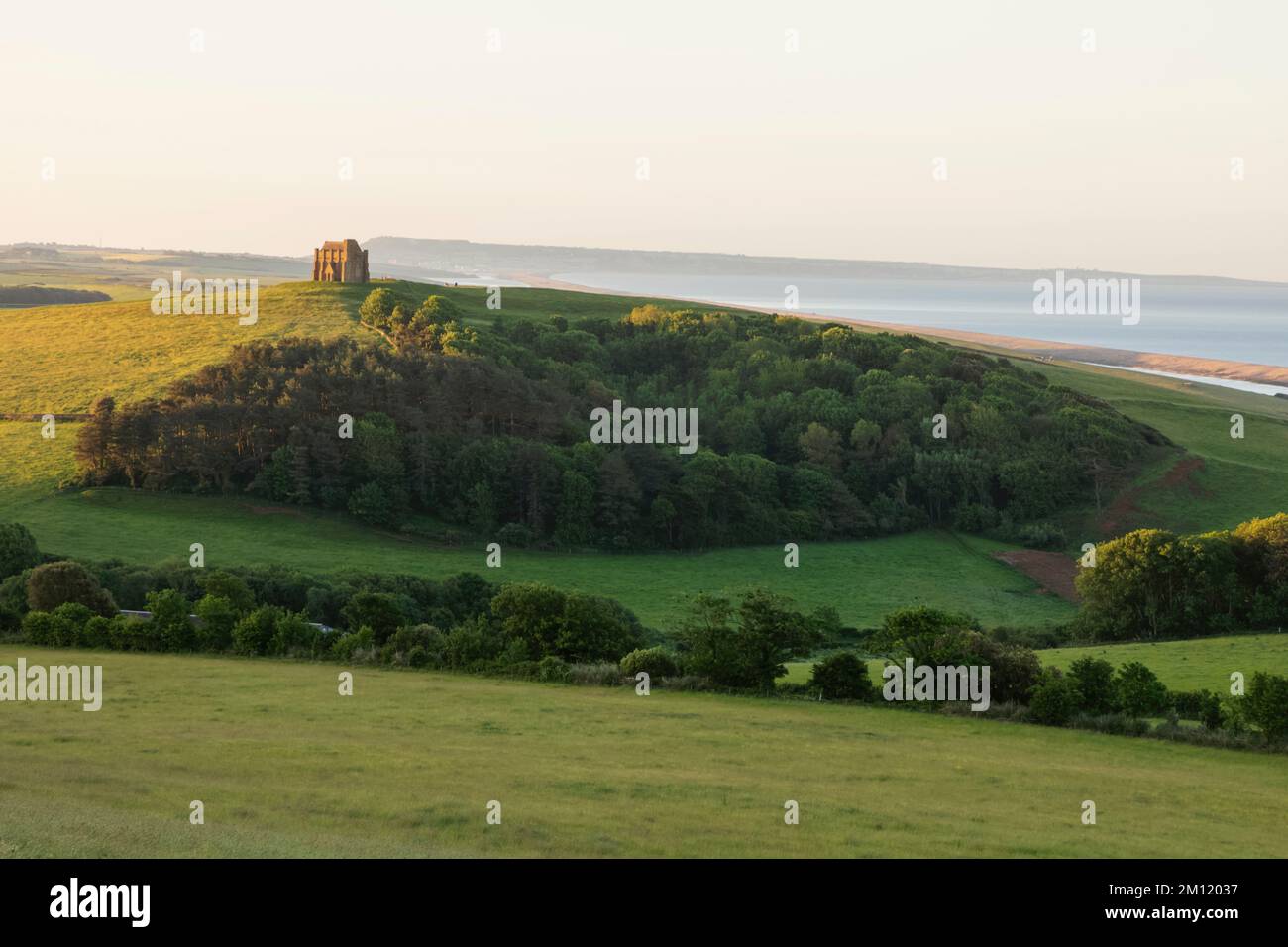 Inghilterra, Dorset, Abbotsbury, St.Catherine's Chapel e Green Fields Foto Stock