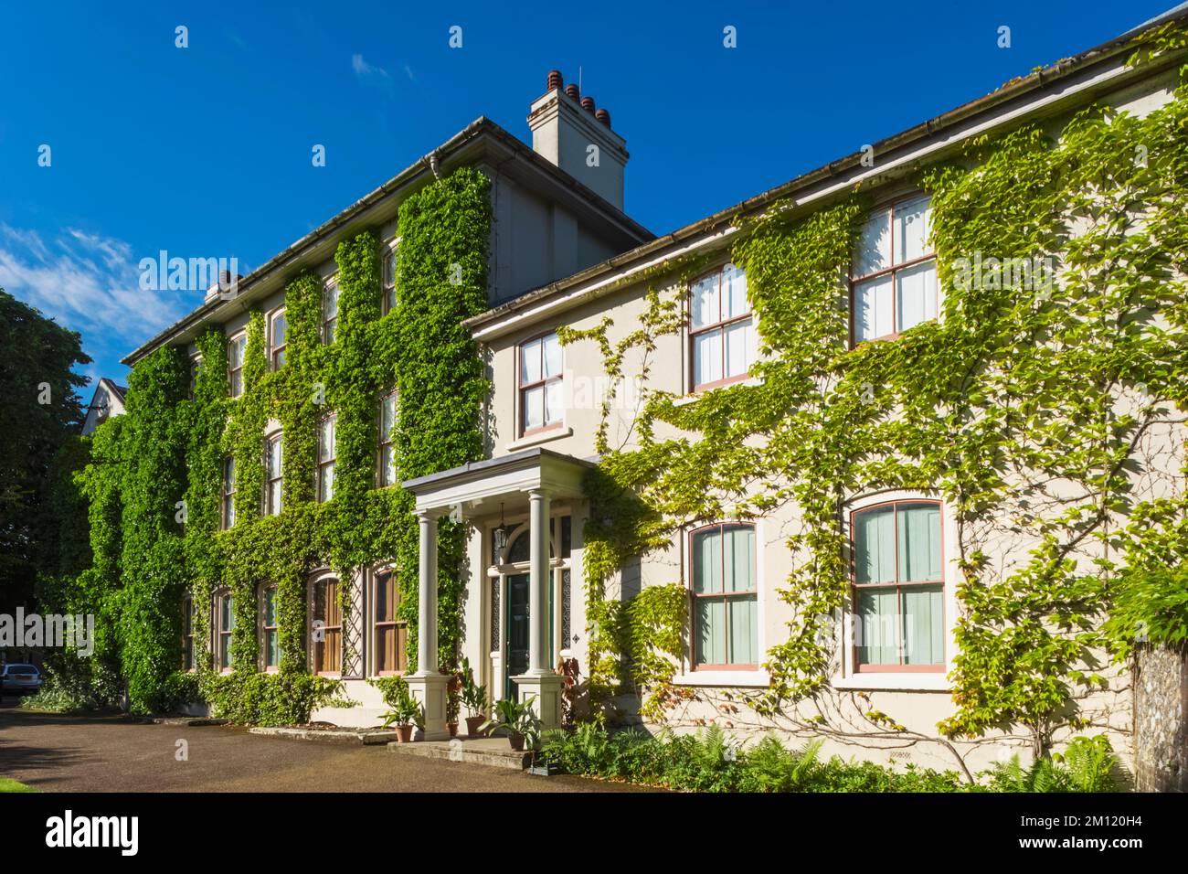 Inghilterra, Londra, Bromly, Downe, Down House, L'ex casa del naturalista inglese Charles Darwin Foto Stock