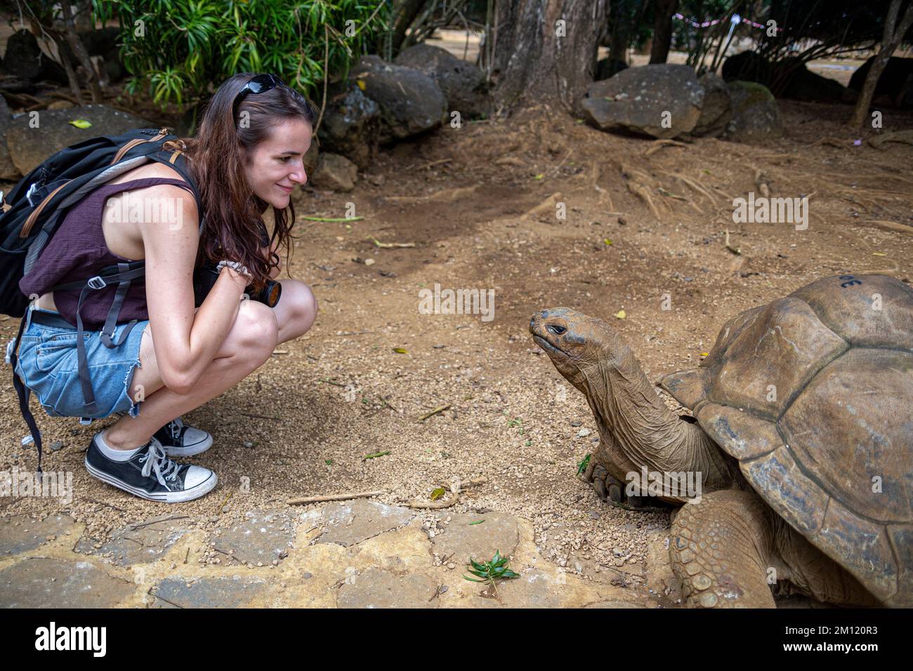 Una giovane donna e una tartaruga gigante nel Parco Naturale la Vanille, Isola Mauritius, Africa Foto Stock