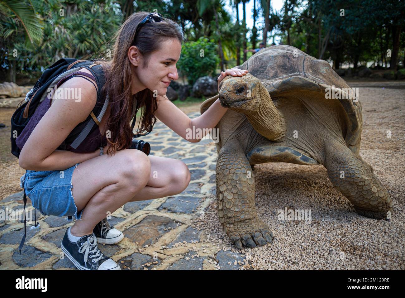 Una giovane donna e una tartaruga gigante nel Parco Naturale la Vanille, Isola Mauritius, Africa Foto Stock