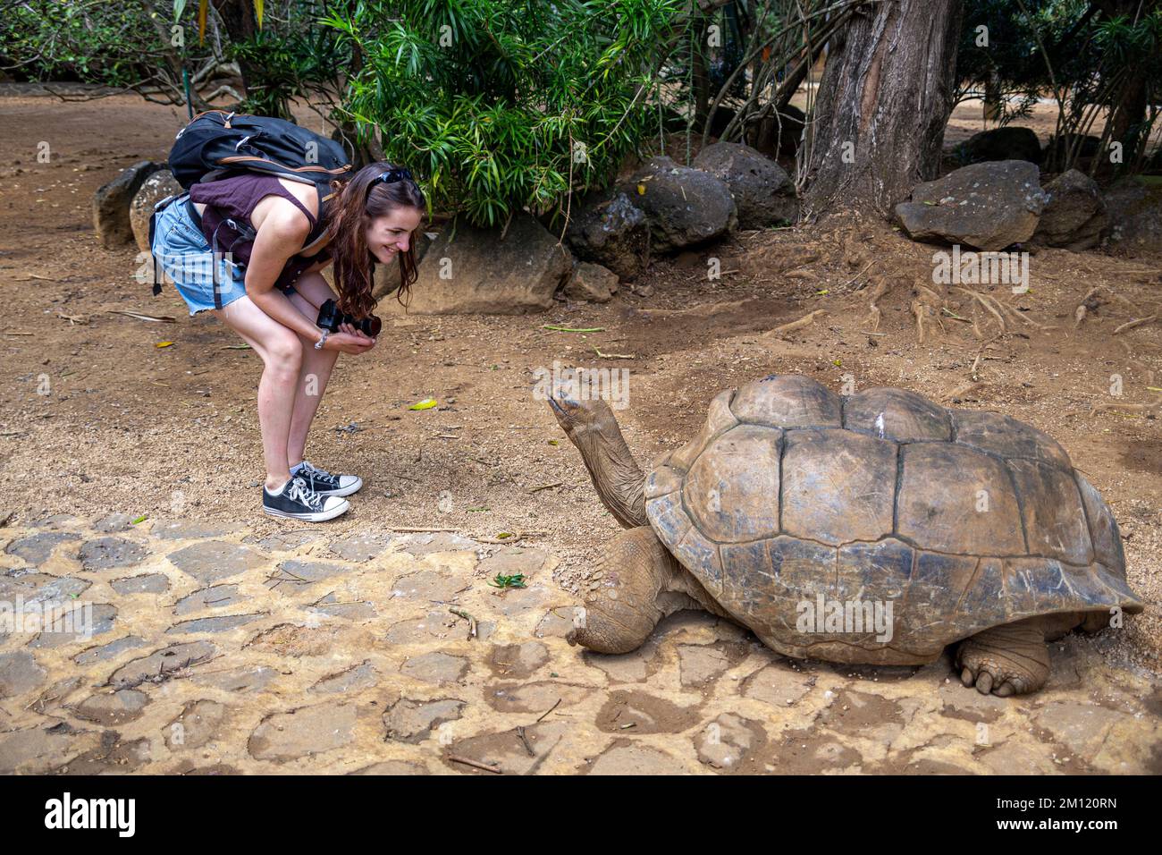 Una giovane donna e una tartaruga gigante nel Parco Naturale la Vanille, Isola Mauritius, Africa Foto Stock