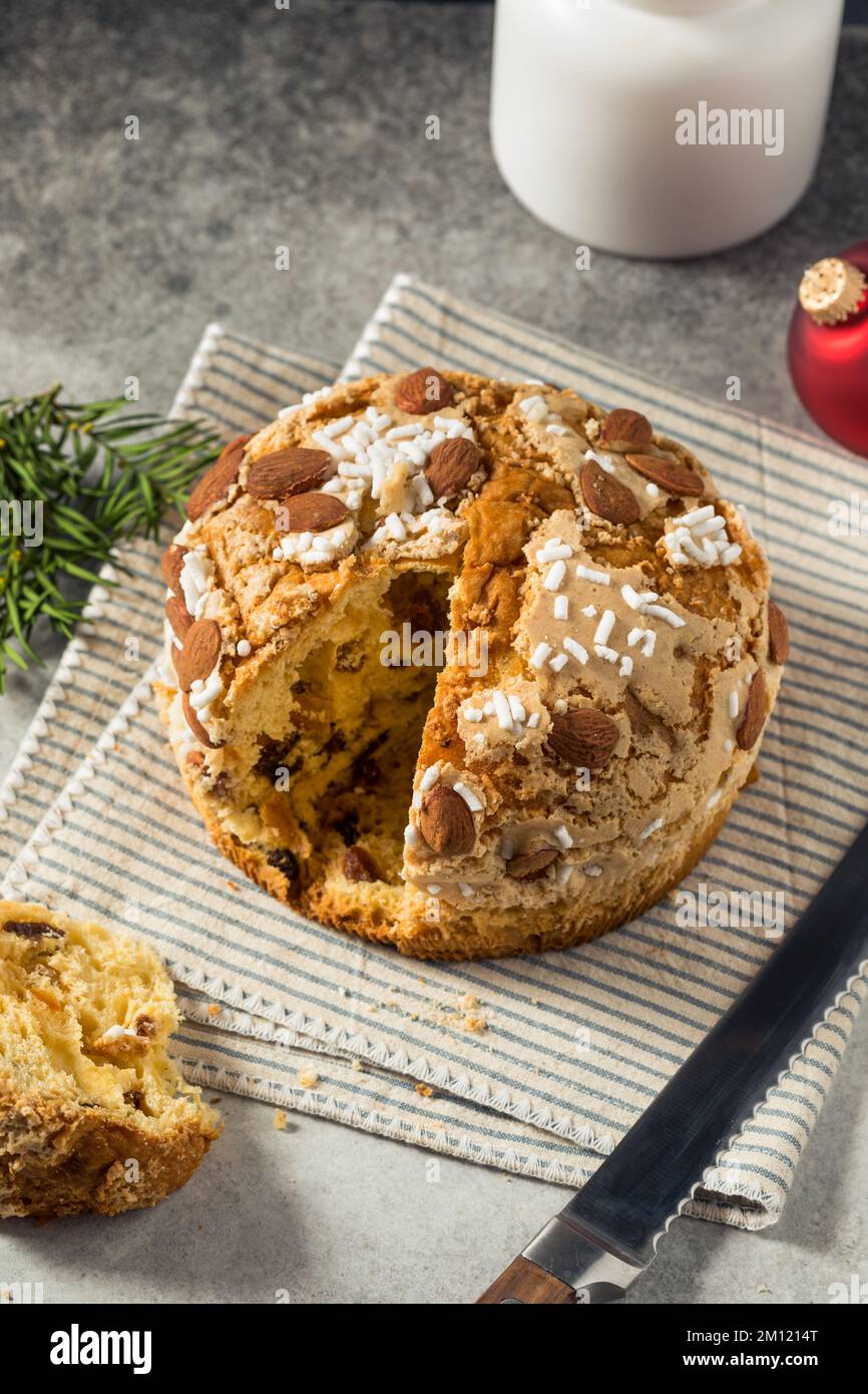 Panettone italiano fatto in casa con zucchero e frutta secca Foto Stock