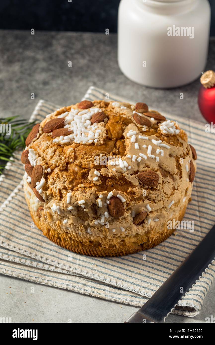 Panettone italiano fatto in casa con zucchero e frutta secca Foto Stock