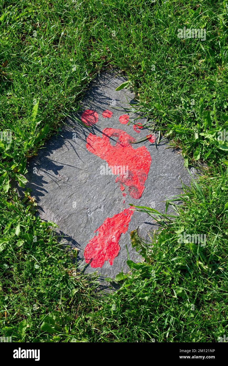 Camminare a piedi nudi - lastra di pietra incastonata nel prato con impronta rossa Foto Stock