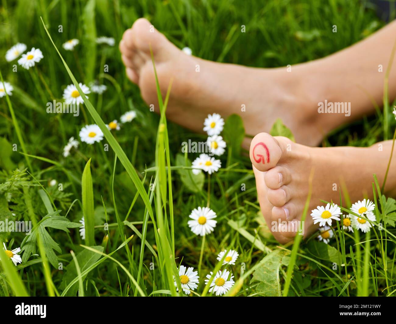 Camminata a piedi nudi - primo piano dei piedi delle donne con zona marcata sulle alluce (alluce) per il massaggio riflessologico Foto Stock