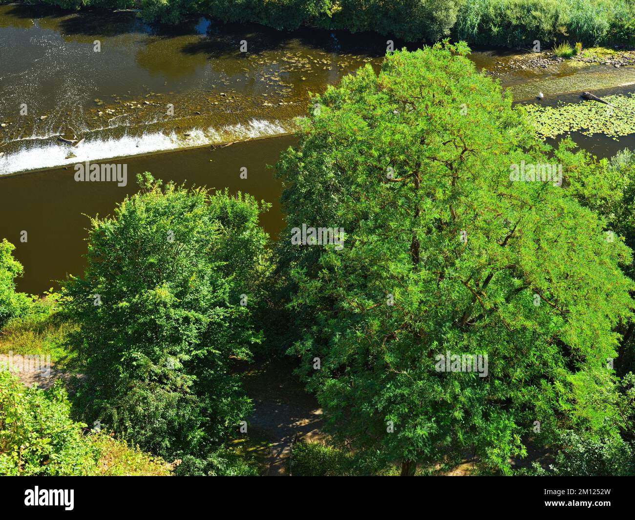 Europa, Germania, Assia, Contea di Limburg-Weilburg, città di Weilburg, Valle di Lahn, castello di Weilburg, vista dal giardino del castello a Lahn e Lahn Weir a Gebück Foto Stock