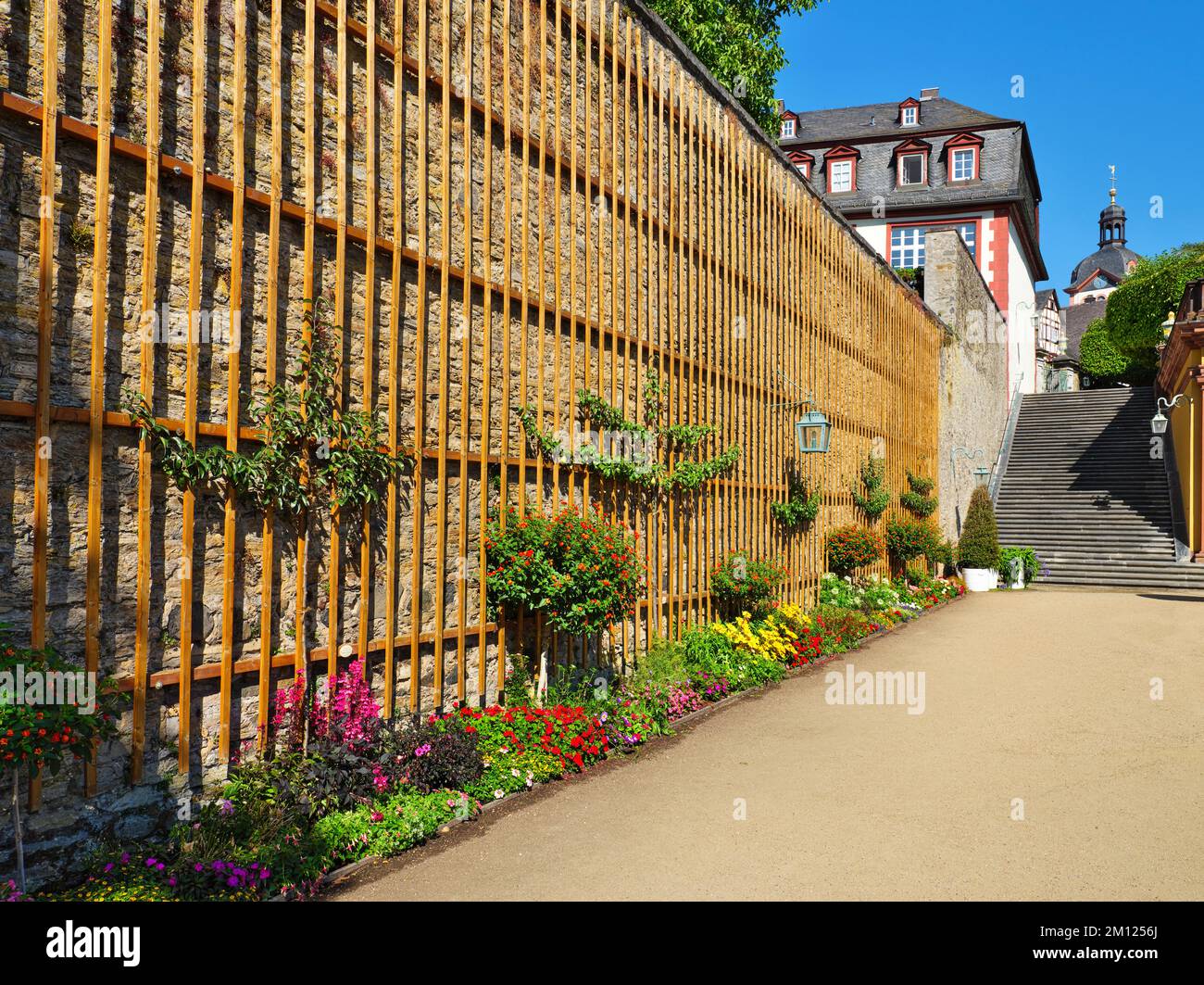 Europa, Germania, Assia, Contea di Limburg-Weilburg, città di Weilburg, Valle di Lahn, muro con trellis di alberi da frutto e letto di fiori Foto Stock