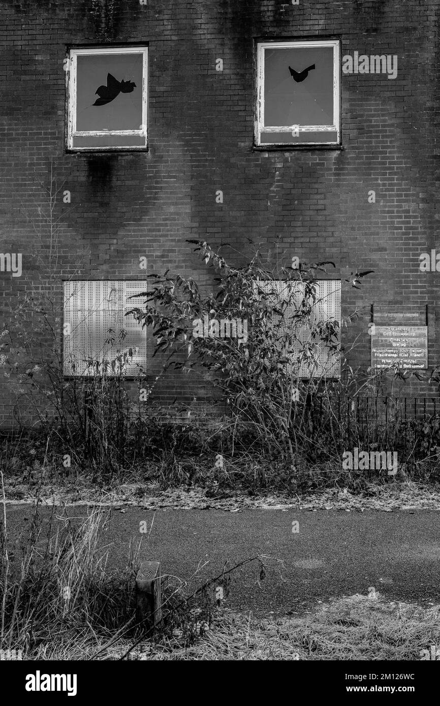 Whitchurch Mental Hospital edifici lasciati a decadere. Il complesso di salute mentale è rimasto vuoto e non riproposto. Foto Stock