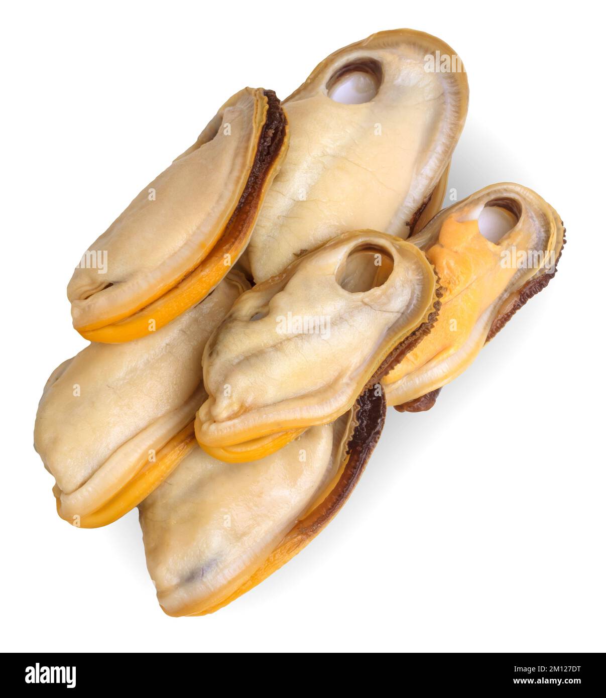 Cozze neozelandesi sbucciate senza conchiglie isolate su fondo bianco. Foto Stock