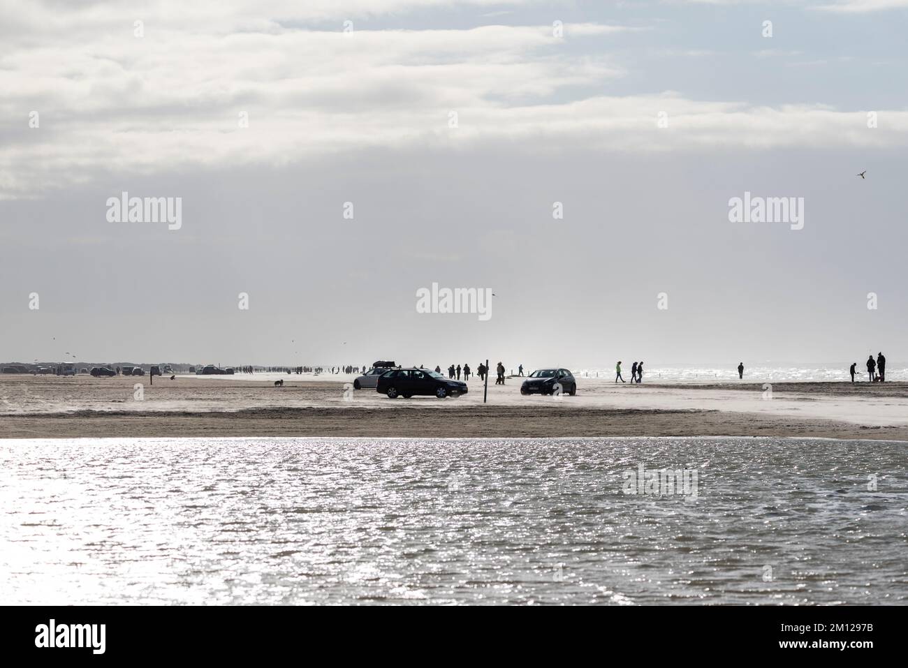 Auto sulla spiaggia, Camper sulla spiaggia, Motorhomes sulla spiaggia, Isola di Rømø, Lakolk, Syddanmark, Danimarca Foto Stock