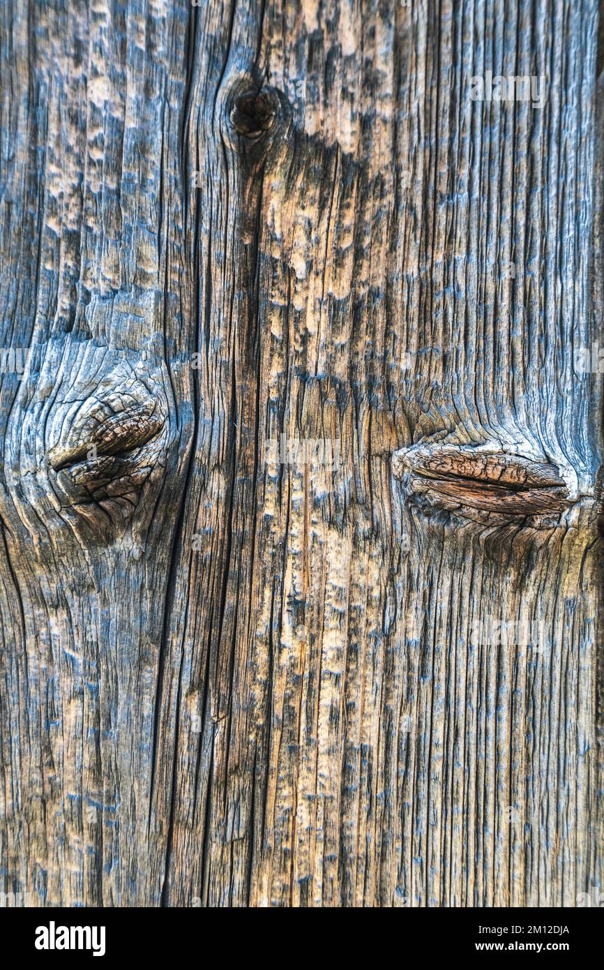 Italia, Veneto, Dolomiti. Legno antico, particolari di tavole di legno invecchiate, architettura alpina Foto Stock