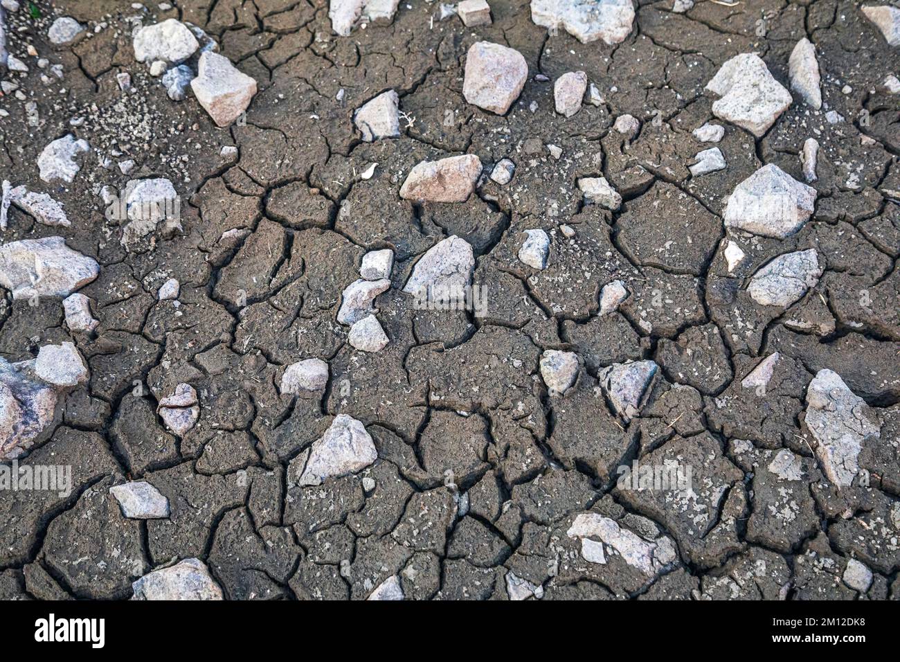 Italia, Veneto, Dolomiti. Fondo secco del lago, cambiamento climatico, estate senza pioggia, siccità Foto Stock