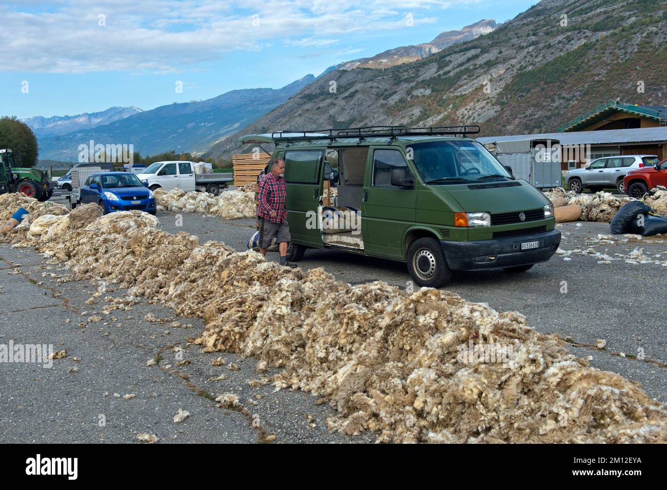 L'allevatore di ovini dell'Alto Vallese consegna la lana dalle pecore al naso nero del Vallese ad un punto di raccolta della lana presso il campo d'aviazione di Turtmann, Turtmann, Vallese, Svizzera Foto Stock