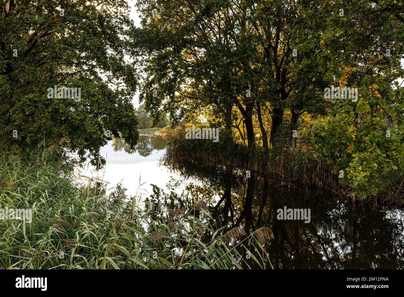 L'Europa, Polonia, Bassa Slesia, Barycz Valley Landscape Park / Landschaftsschutzpark Bartschtal Foto Stock