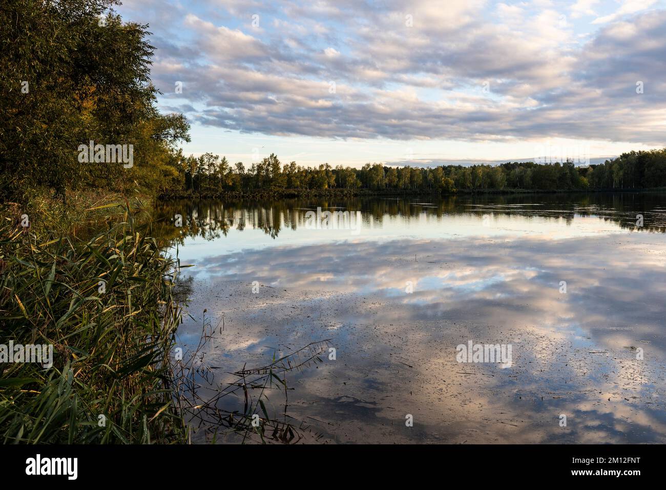 L'Europa, Polonia, Bassa Slesia, Barycz Valley Landscape Park / Landschaftsschutzpark Bartschtal Foto Stock