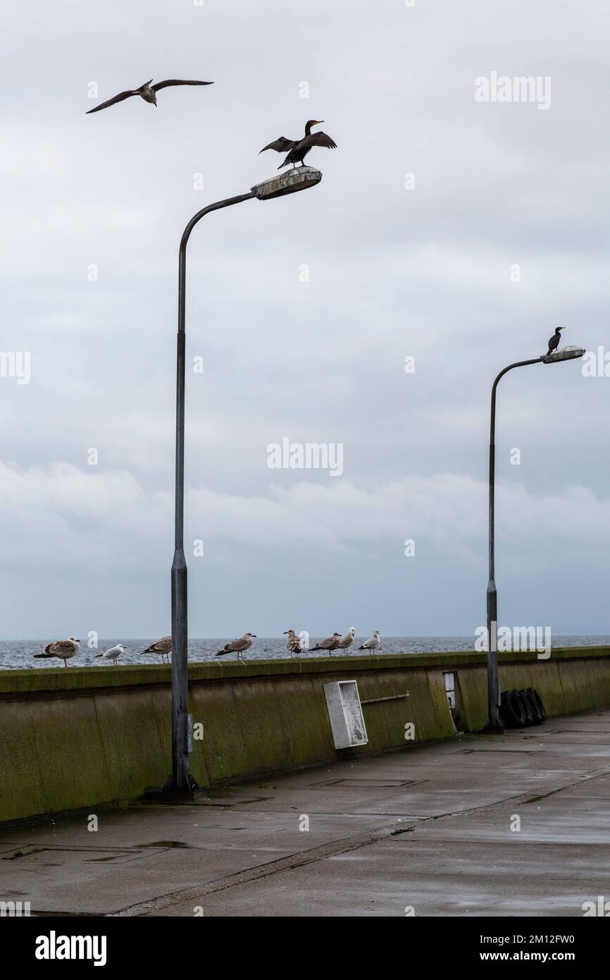 Europa, Polonia, Penisola di Hel, Pomerania, Hel Foto Stock