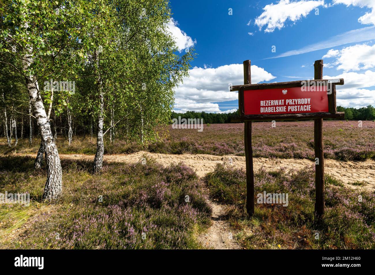 Europa, Polonia, Voivodato della Pomerania Occidentale, fossato vicino a Borne Sulinowo - Riserva Naturale Diabelskie Pustacie Foto Stock