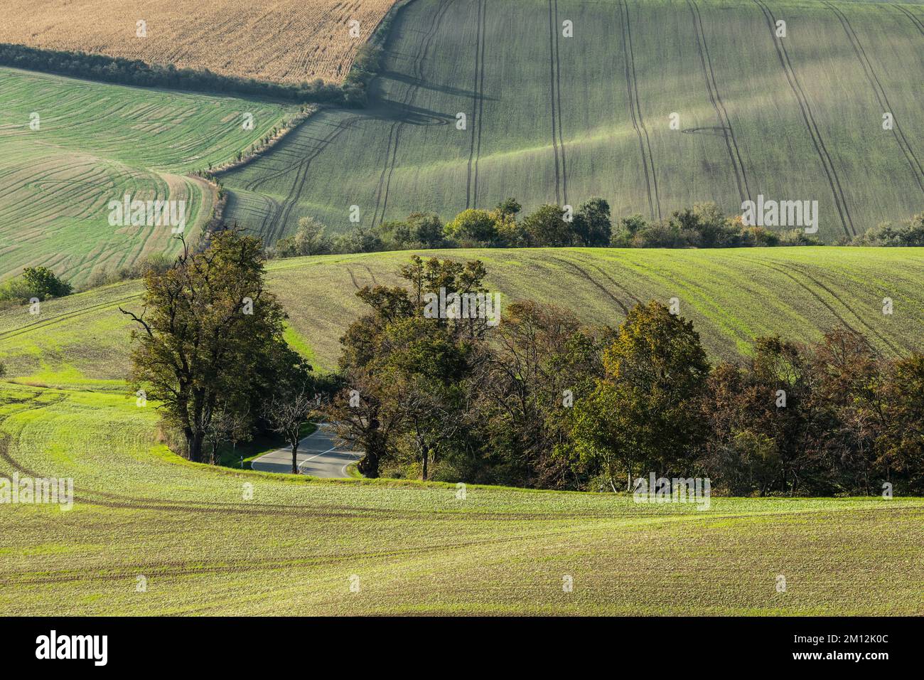 Europa, Repubblica Ceca, Regione Morava Meridionale, Distretto di Hodonin, Vista panoramica dei campi ondulati vicino a Kyjov Foto Stock