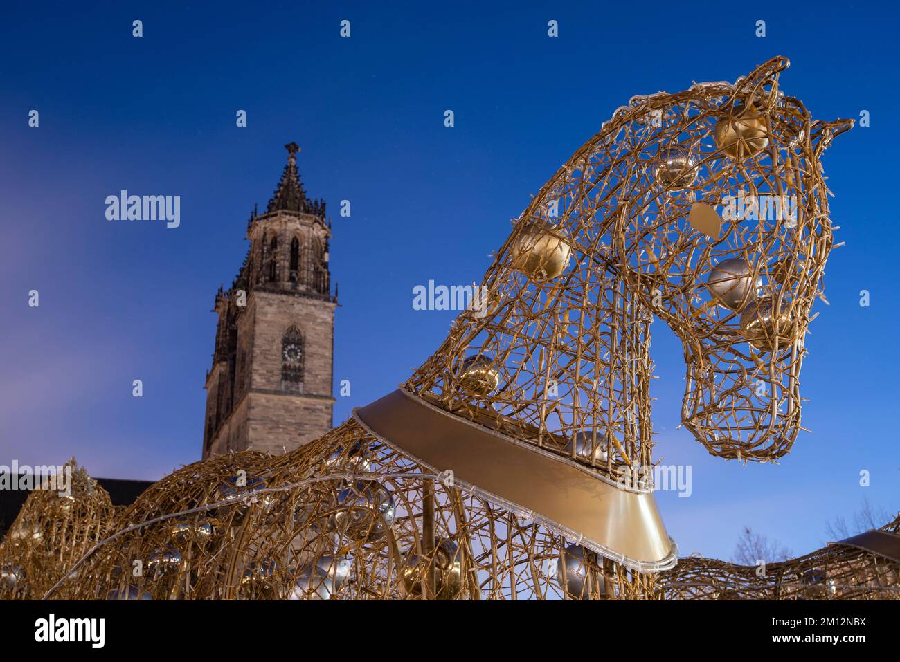 Cavallo d'oro, Cattedrale di Magdeburgo, mondo delle luci di Natale, Magdeburgo, Sassonia-Anhalt, Germania Foto Stock