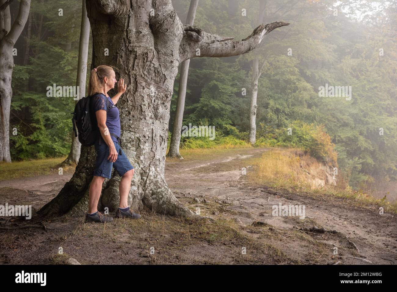 Donna anziana che cammina nel Parco Nazionale di Jasmund in autunno, Meclemburgo-Pomerania occidentale Foto Stock