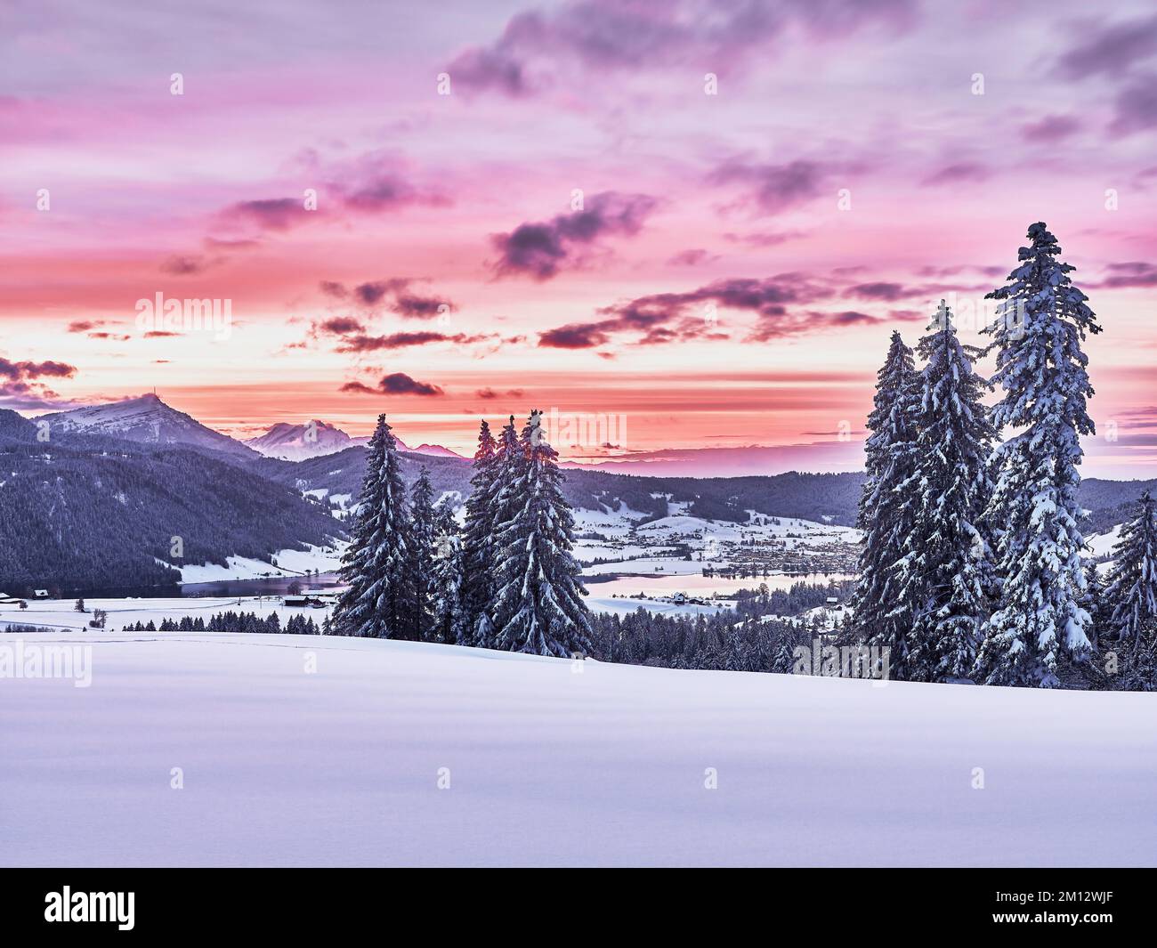 Foresta innevata con vista sul lago di Aegeri dietro Rigi e Pilatus, Gottschalkenberg, Canton Zugo, Svizzera, Europa Foto Stock