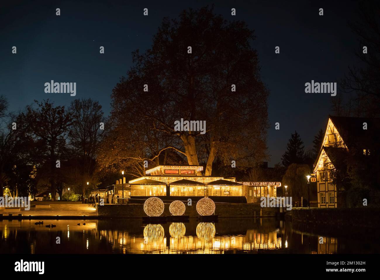 Grande stagno a Soest con arte leggera Foto Stock