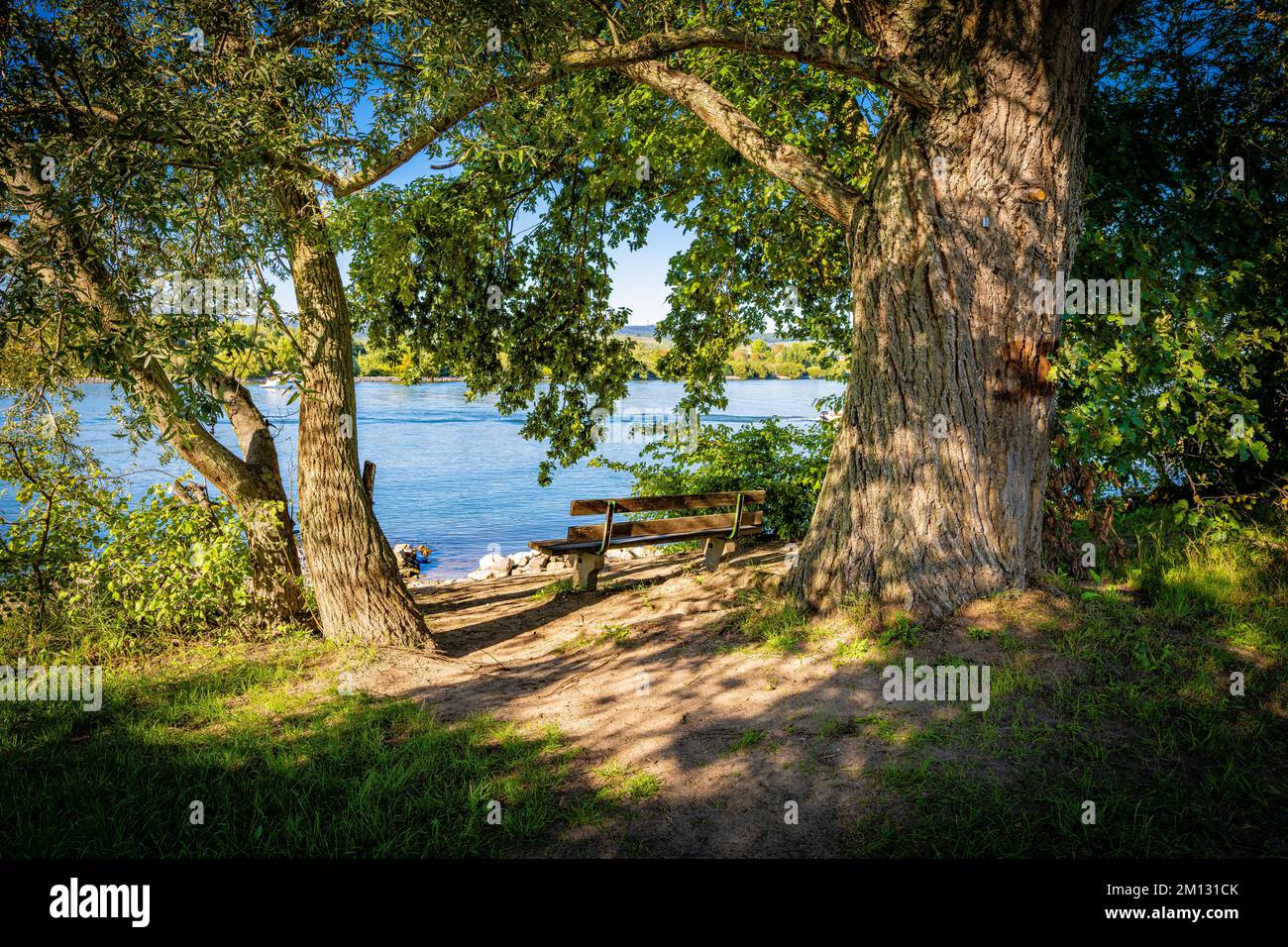 Posto tranquillo sul Reno vicino Heidenfahrt/Rheinhessen, ricreazione locale con sport acquatici, balneazione, nautica e relax, Foto Stock