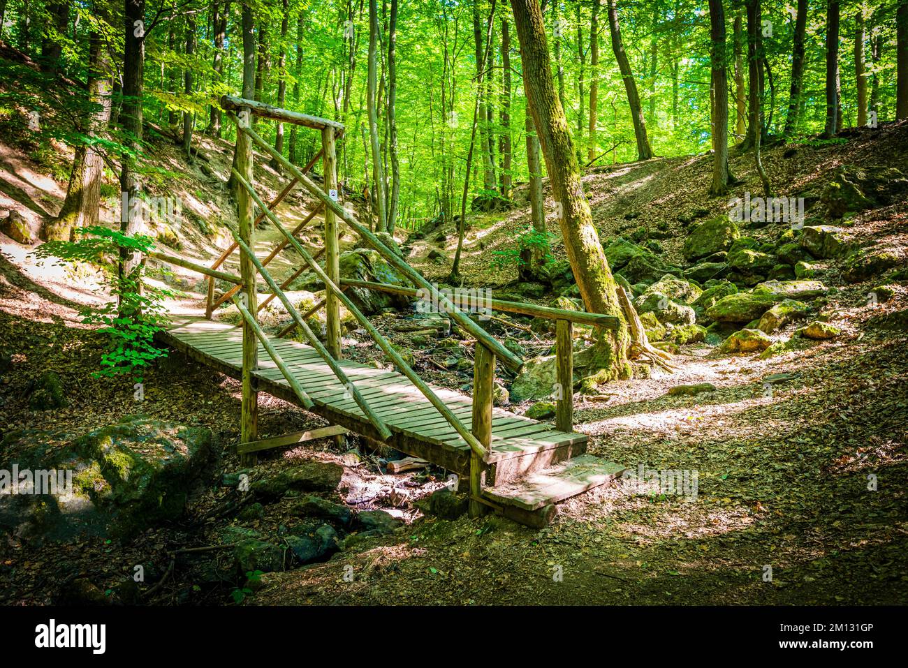 Una gola nella foresta di Bingen, creata dalla Hasselbach, che scorre nel Morgenbach, goblin e streghe sono scolpite in più di 65 sculture su alberi, alberi e radici, diversi ponti facilitano la strada, Steckeschläfer significa trascinare il bastone dietro di voi, Foto Stock