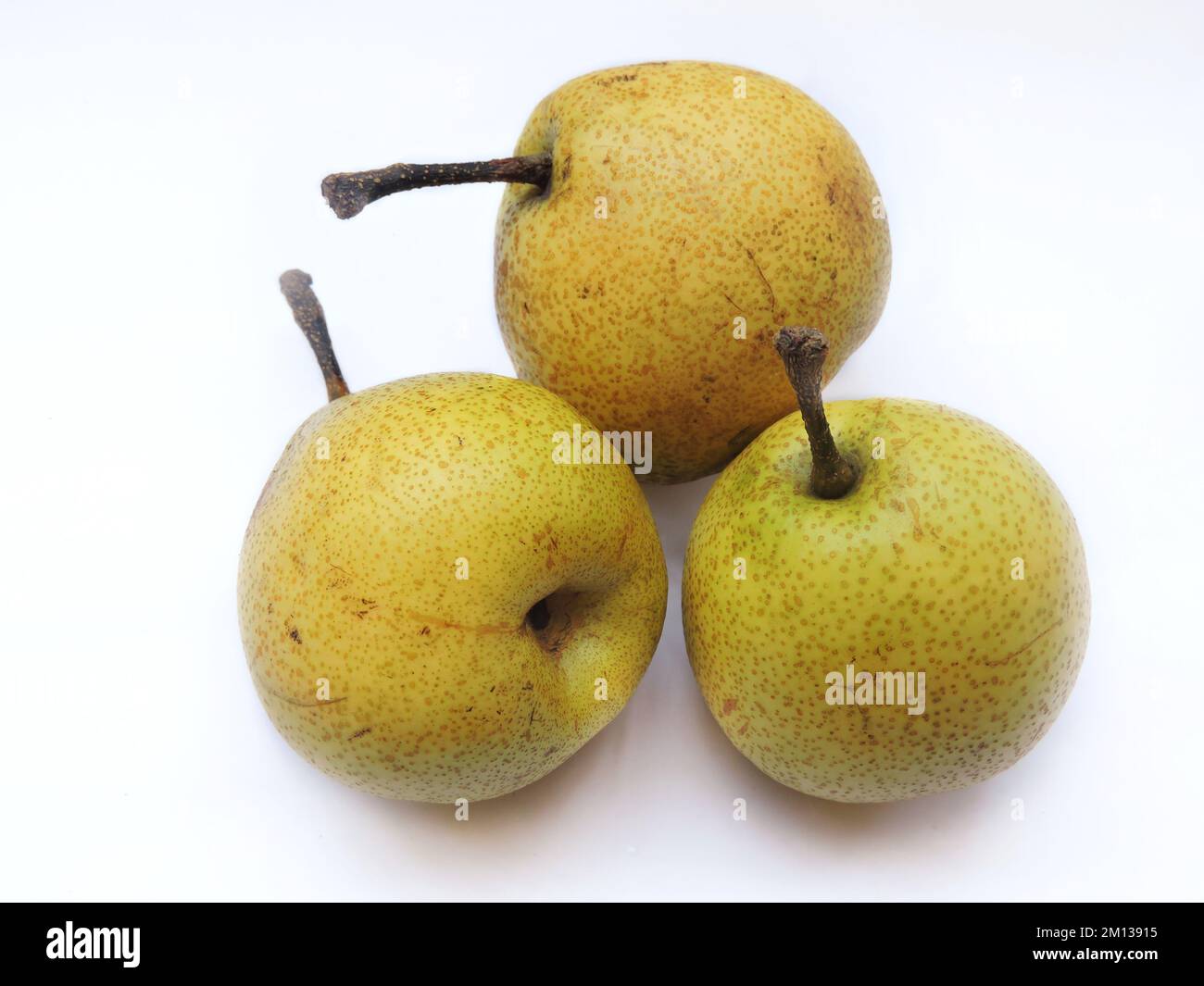 Pera Indiana Woh pir immagini e fotografie stock ad alta risoluzione - Alamy