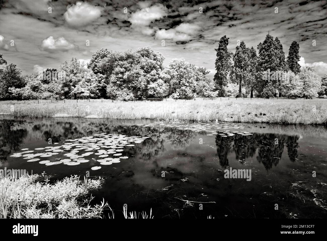 Bella fotografia in bianco e nero del fiume scrofa attraverso i prati di Shugborough in estate su Cannock Chase AONB Area di straordinaria bellezza naturale Foto Stock