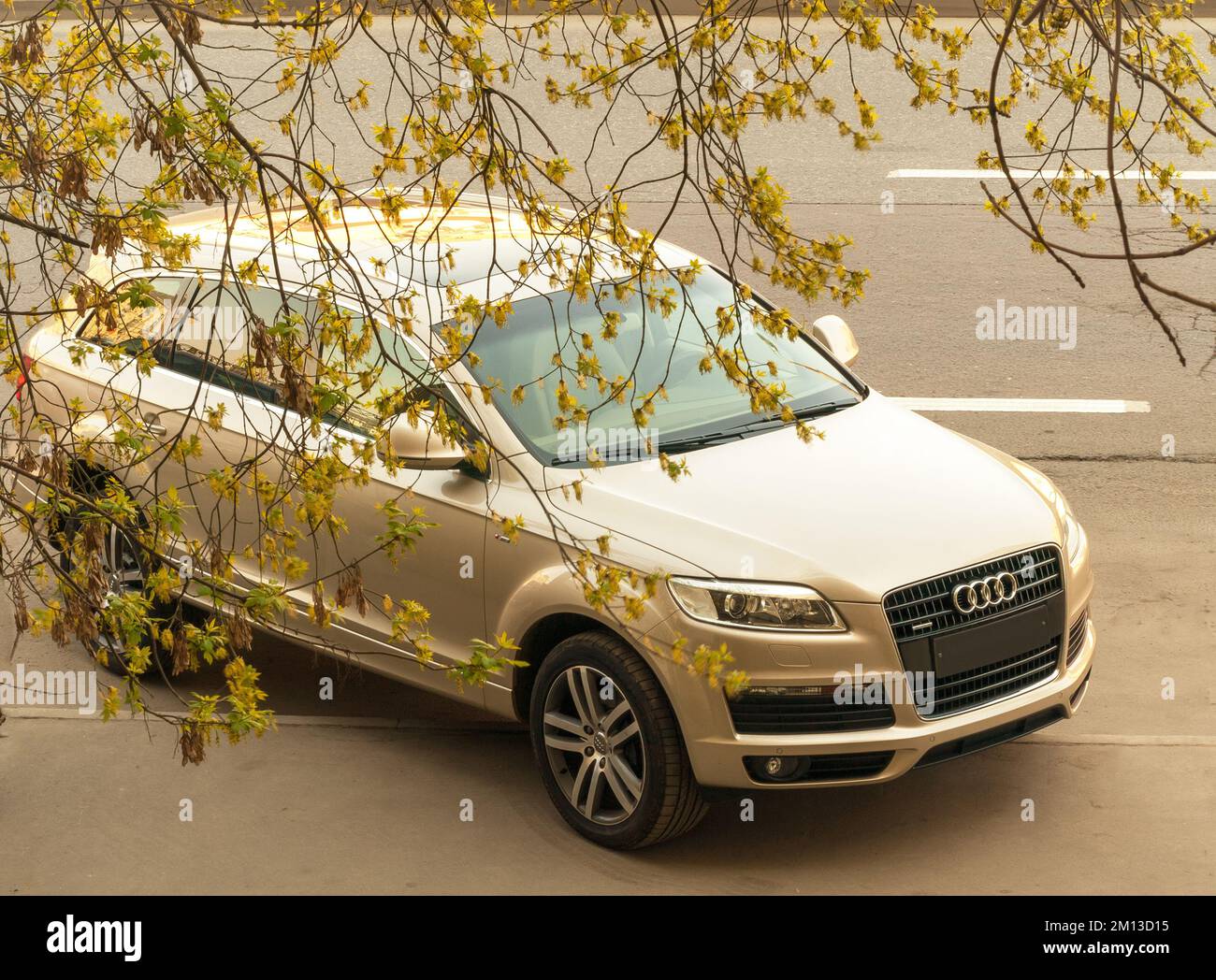 Audi Q7 i (4L) 2005 – 2009, SUV quattro auto nuova parcheggiata in parte sul marciapiede della città sotto rami di albero Foto Stock