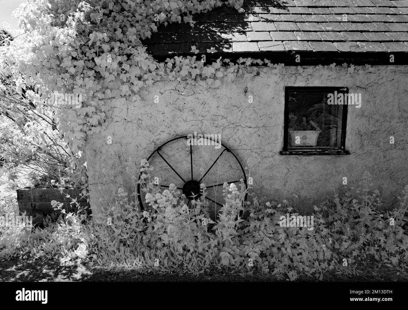 Bella fotografia in bianco e nero della ruota dentata appoggiata all'edificio del CAE Newydd Garden Isle di Angelsey Wales Regno Unito Foto Stock