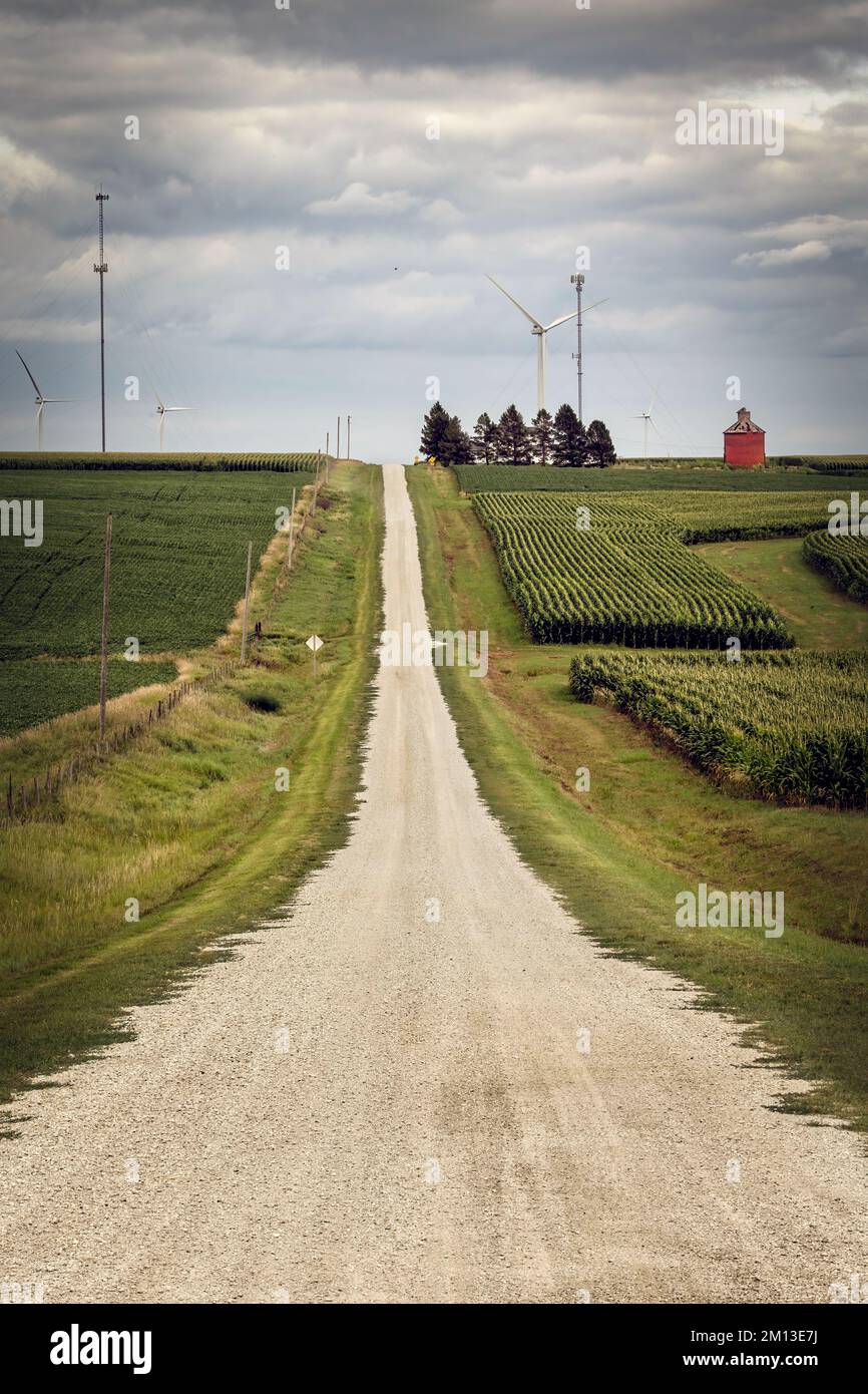 Turbine eoliche e campi di mais su una strada di ghiaia vicino a Stuart, Iowa. Foto Stock