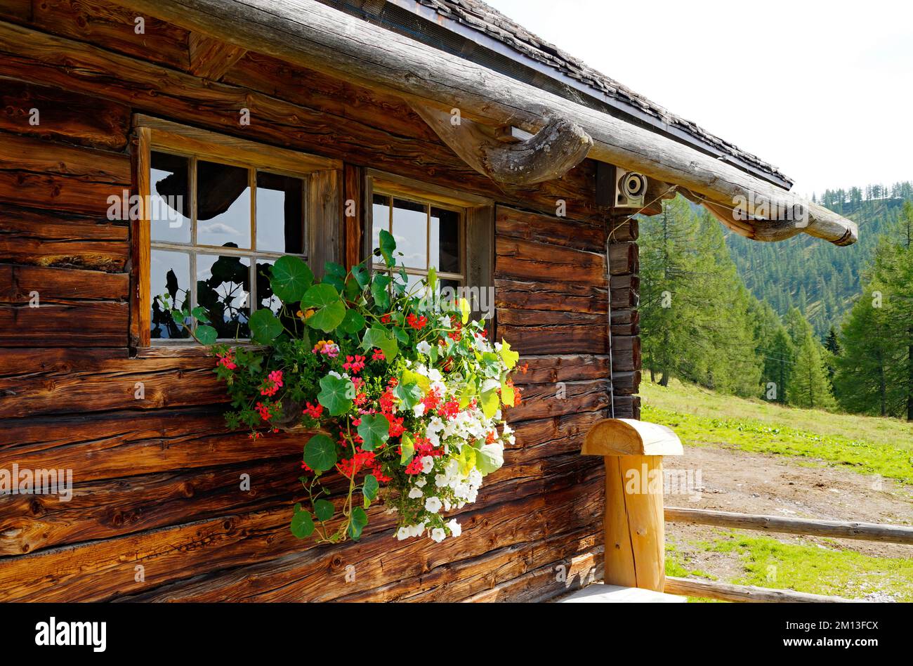 Cabina alpina con gerani nel villaggio alpino Neustatt Alm ai piedi del monte Dachstein, nelle Alpi austriache della regione di Schladming Foto Stock