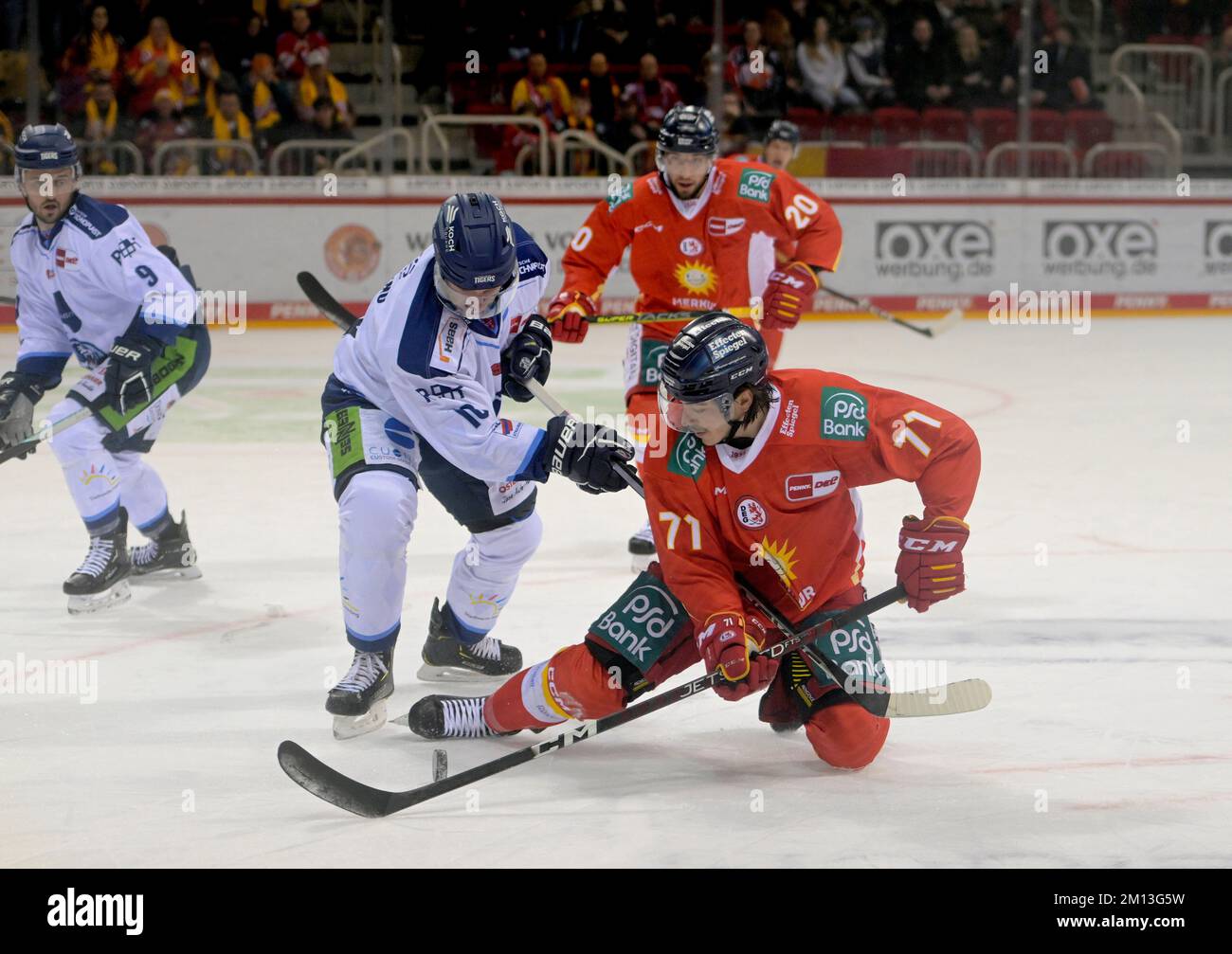 Daniel FISCHBUCH r. (DEG) in duelli contro Garrett Festerling (Str), azione, hockey su ghiaccio 1st Bundesliga, DEL matchday 28, Duesseldorfer EG (DEG) - Straubing Tigers (Str), il 9th dicembre 2022 a Duesseldorf/Germania. Foto Stock