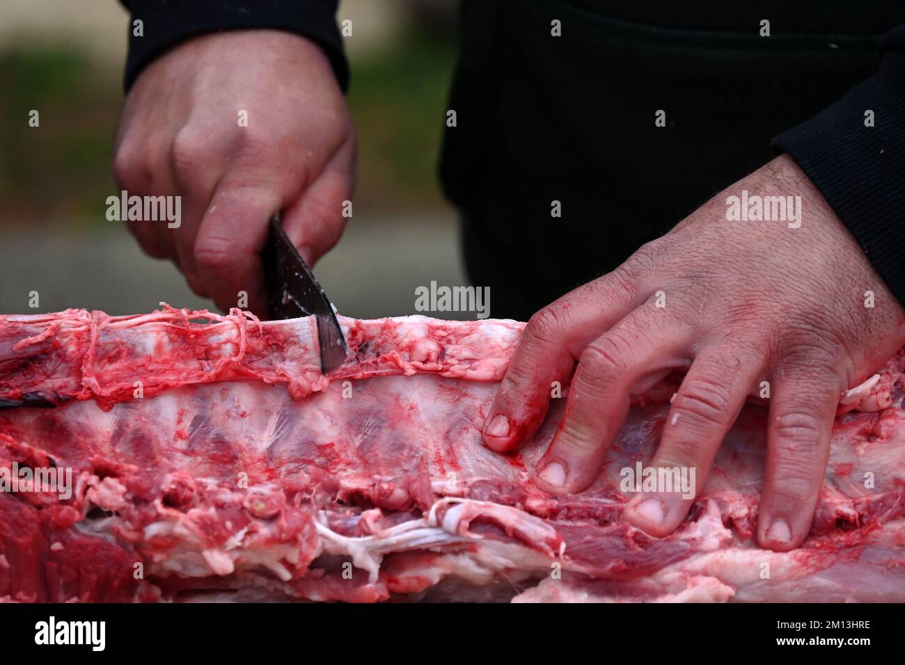 Taglio di carne di maiale Foto Stock