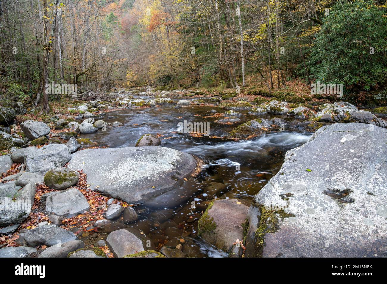 Rapide, Middle prong Little River, Autunno, Great Smoky Mountains NP, TN, USA, di Dominique Braud/Dembinsky Photo Assoc Foto Stock