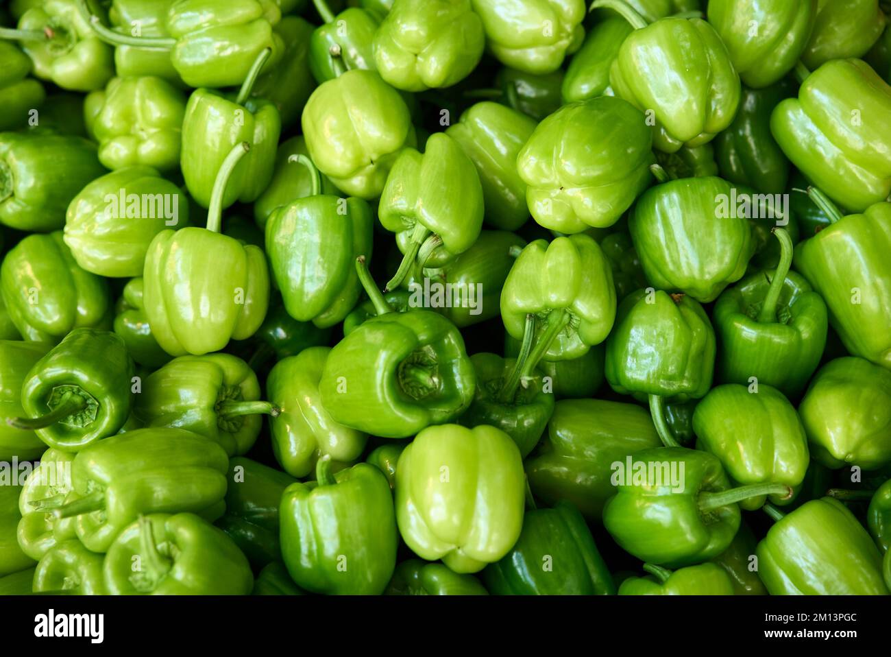 pepe fresco al mercato vegetale Foto Stock